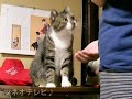 ホタテ大好き♪