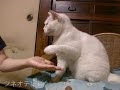 ホタテ大好き♪