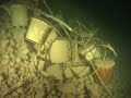 Achensee TCI