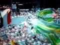 Celtic Fans Party In Seville