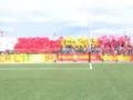 videos de Coreogragia Ultras Gallipoli!