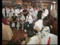 videos de canelita, farru, simon...