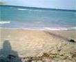 Seaweed Monster Part 1 (READ DESCRIPTION)
