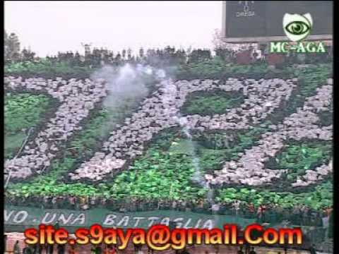 marozi