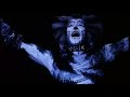 Musical cats NL tour clips