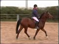 Equestrian Video!