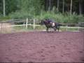 videos de Smurffielkeet