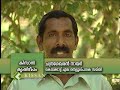 Paddy cultivation using SRI Technology
