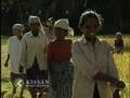 Paddy cultivation using SRI Technology