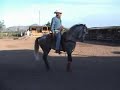 Caballos Dec 05