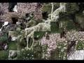 Solveig's song