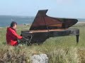 Didier Squiban - Petit Air Marin