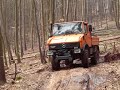 Unimog beim Holztransport