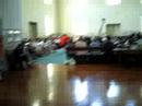 Bumble Bee vs. Lobster in Meeting for Worship