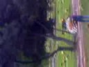 videos de cementerio parte 1