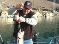 lake-lahontan-like-a-cholo.html