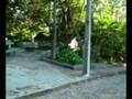 NO-SESC-VENDA-NOVA-M