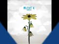 Relient K- My Girl's Ex-Boyfriend