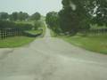 Kentucky Horse Farm, Bluegrass KY Farm Land Vineyard winery 1of3
