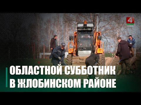 На абласным суботніку дадзены старт рэканструкцыі мемарыяльнага комплексу «Дзецям – ахвярам вайны» ў Жлобінскім раёне видео