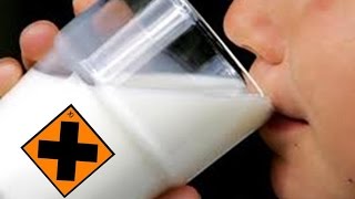 LE LAIT DE VACHE ?