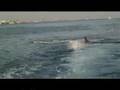 Surf Steffe Goes Wakeboarding
