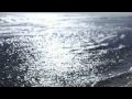 Ash War With Me Official Music Video and Lyrics