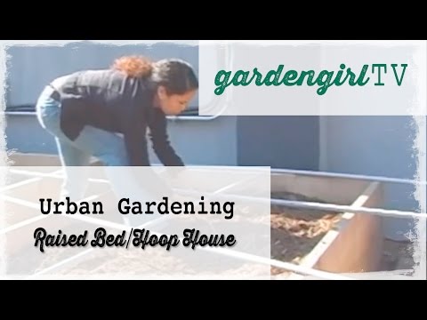 raised bed organic gardening