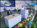 videos de IMPORTANCE OF KHELAFAT  IN CONTEMPORARY SOCIETY  [PART-3]