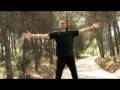 Els teus cels- Josep Thi�