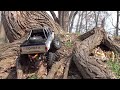 HILUX&F-350 Wood section HILUX&F-350 Wood section