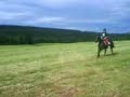 Gallopp Gallopp