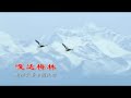 [Best Mongolian Chinese Music] Morin Khuur Solo - Gada Meilin 马头琴独奏 嘎达梅林
