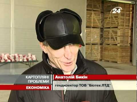 Смотреть видео