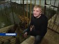 Чукотские моржата осваивают Московский дельфинарий