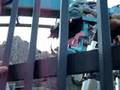 dangerous roller coster in florida part 2