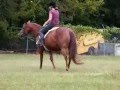 videos de Candie Cane