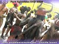 Pure Spiceness DVD 2008