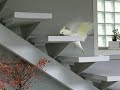 up..up .. go to the parrots room.. cockatoo.. up..up .. go to the parrots room.. cockatoo..