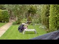 Fat Man Falls Off A Trampoline