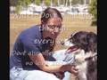 dog training online