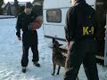 K9,police dog training!