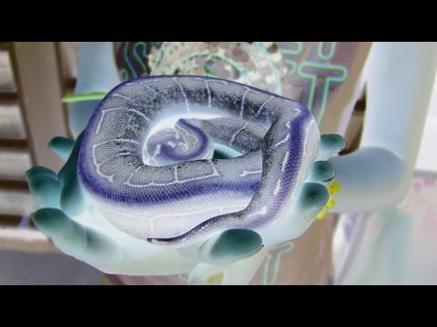 YouTube reptile video