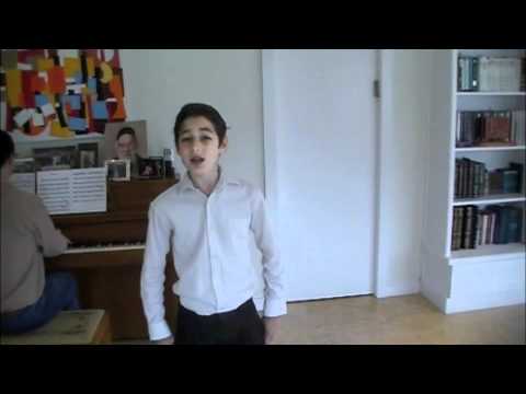Akiva Schechter Age 12