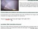 referencement et positionnement internet-images referencement et positionnement internet-images