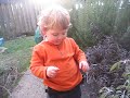 Pruning