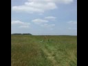 Swiss Army Launch Attempt