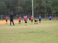 videos de Noah gets the flag