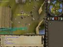 Runescape player since 2003.