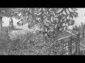atalaya - alfredo ghierra.mov